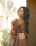 Preferable Brown Fancy Silk Saree With Alluring Blouse Piece