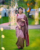 Festive Radiance With Pink Saree with Traditional Charm