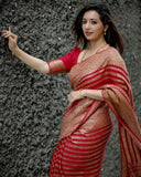 Classic Red Kanjivaram Saree in Soft Silk with Eye-Catching Matching Border