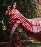 Red Color Soft Silk Kanjivaram Saree with Matching Border – Elegant Traditional Wear
