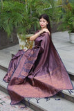 Outdoor Glamour: Woman in a Woven Purple-Brown Saree with Gold Detailing